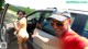Guys Go Crazy - Sugarbabe Bang Sex
